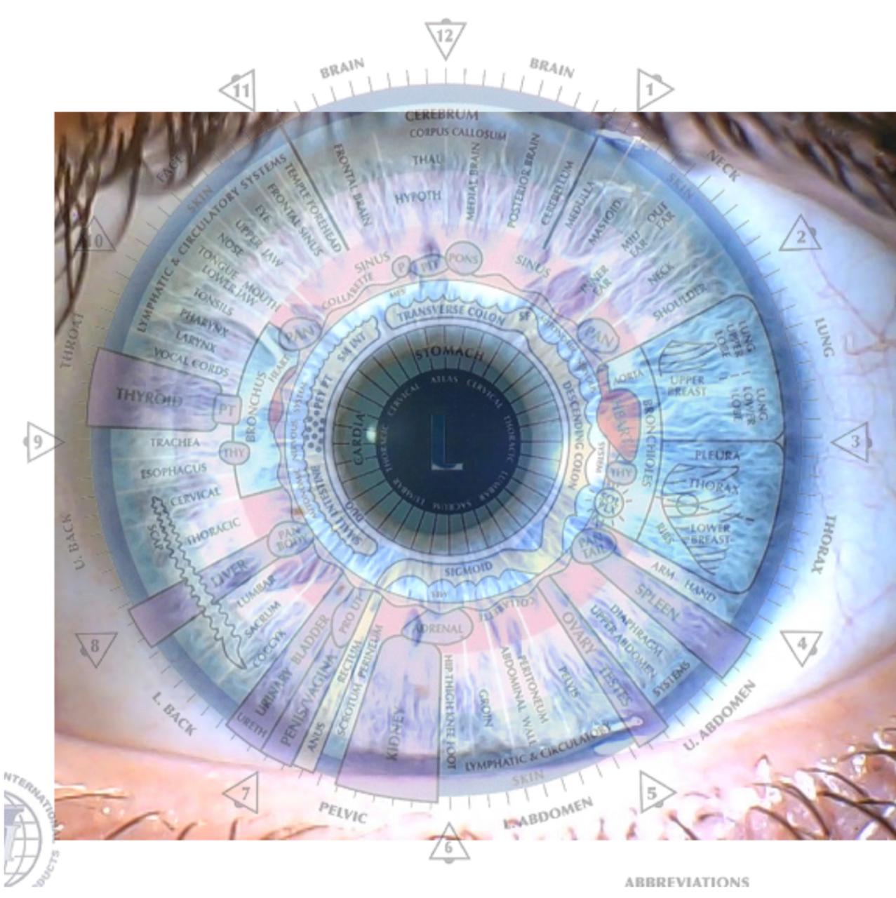 Iridology